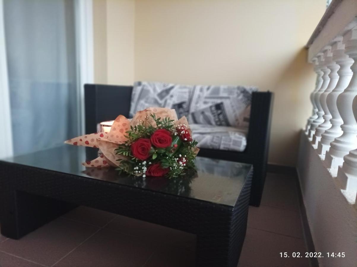 Palma Guesthouse Palit Екстериор снимка